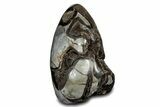Free-Standing, Polished Septarian Geode - Black Crystals #302871-1